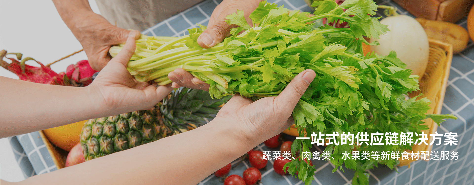 章魚鮮生(廈門)食品供應(yīng)鏈有限公司